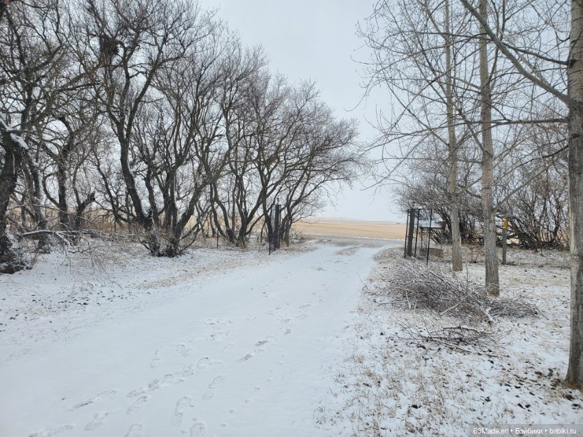 Это-снежная страница ❄ — Куклы Sasha Morgenthaler (Саша Моргенталер): Trendon (фото 4)