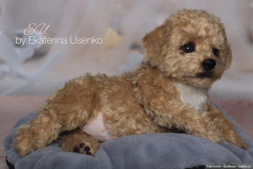 И снова мальтипу — Авторские мишки Тедди и друзья: фото