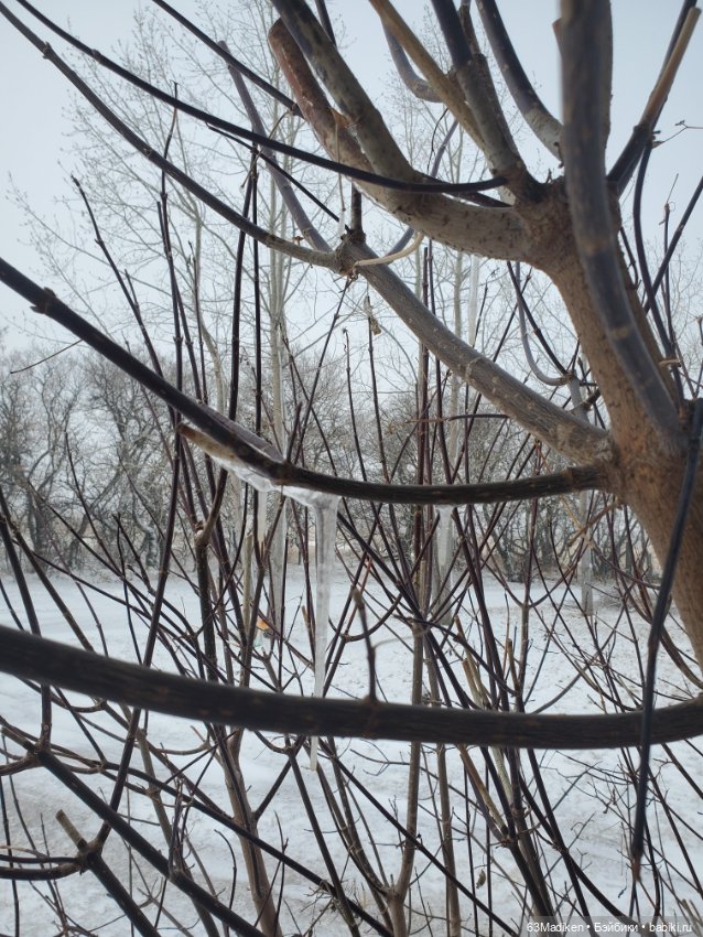 Это-снежная страница ❄ — Куклы Sasha Morgenthaler (Саша Моргенталер): Trendon (фото 6)