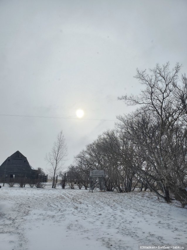 Это-снежная страница ❄ — Куклы Sasha Morgenthaler (Саша Моргенталер): Trendon (фото 5)