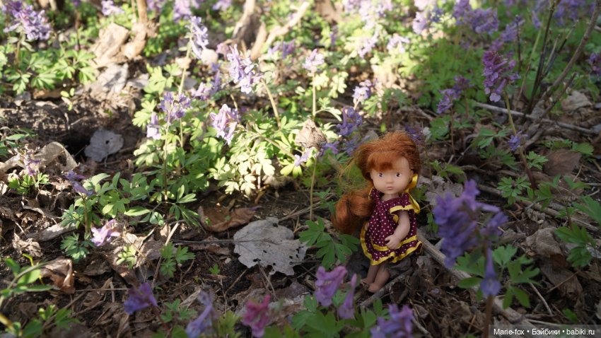 Весна, весна на улице — Куклы Simba: Еви (Evi) и Штеффи (Steffi Love)