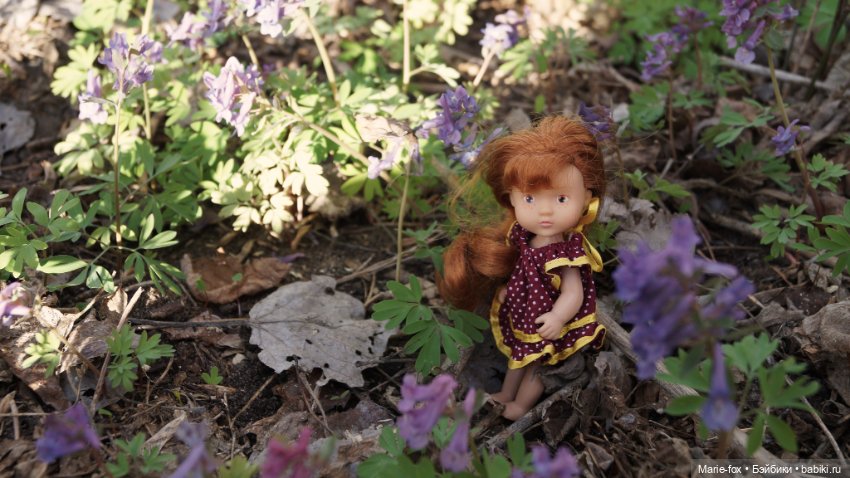 Весна, весна на улице — Куклы Simba: Еви (Evi) и Штеффи (Steffi Love) (фото 10)