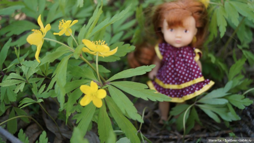 Весна, весна на улице — Куклы Simba: Еви (Evi) и Штеффи (Steffi Love) (фото 4)