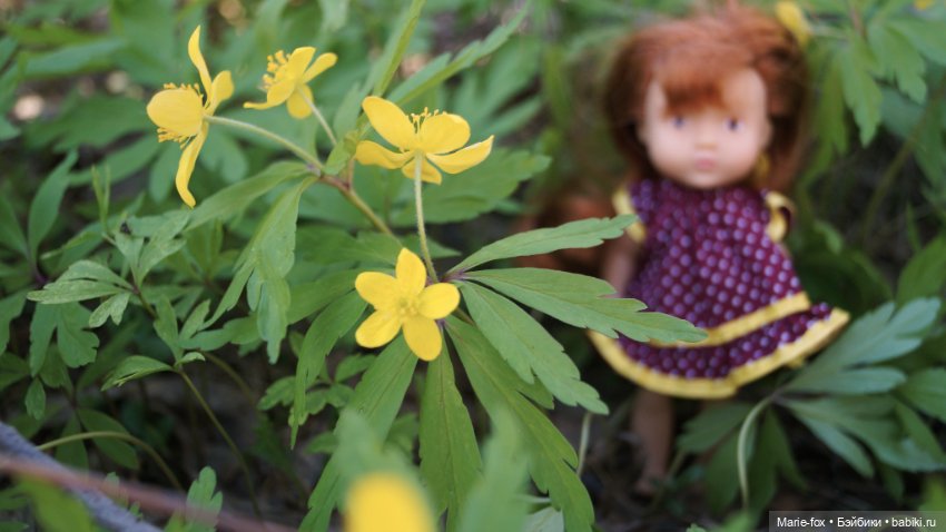 Весна, весна на улице — Куклы Simba: Еви (Evi) и Штеффи (Steffi Love) (фото 5)