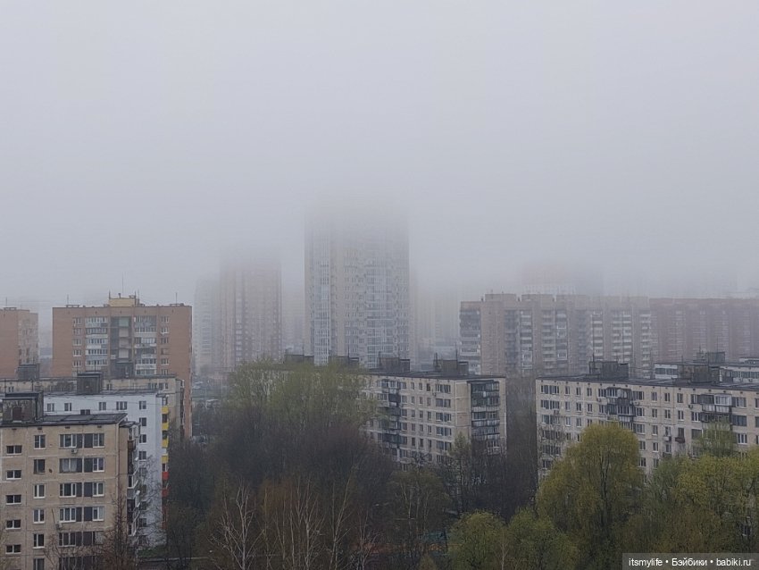 Оливер 💙 и Город, окутанный туманом (фото 7)