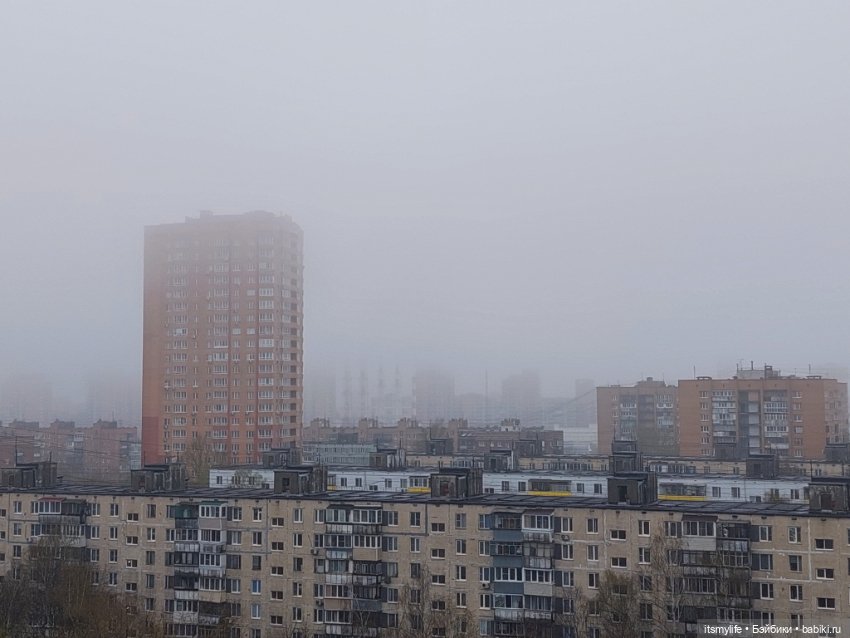 Оливер 💙 и Город, окутанный туманом (фото 3)