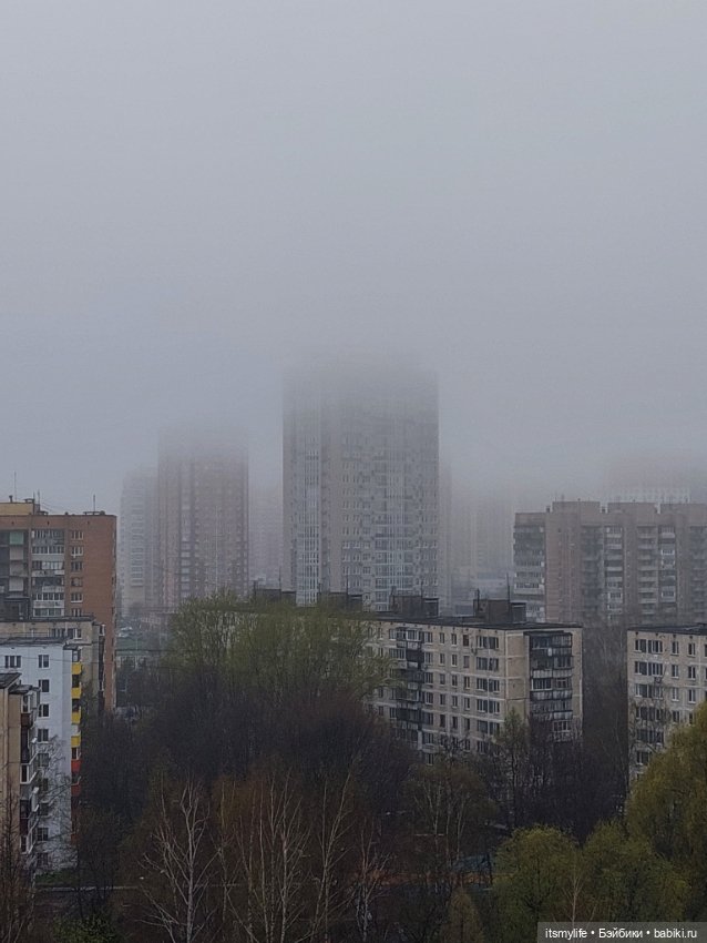 Оливер 💙 и Город, окутанный туманом (фото 5)