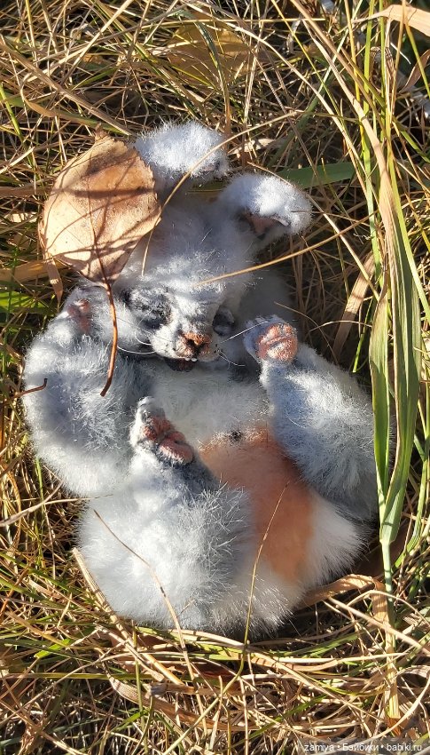 Мой серый зайка — Реалистичные игрушки и звери (Натюр): собаки (фото 3)
