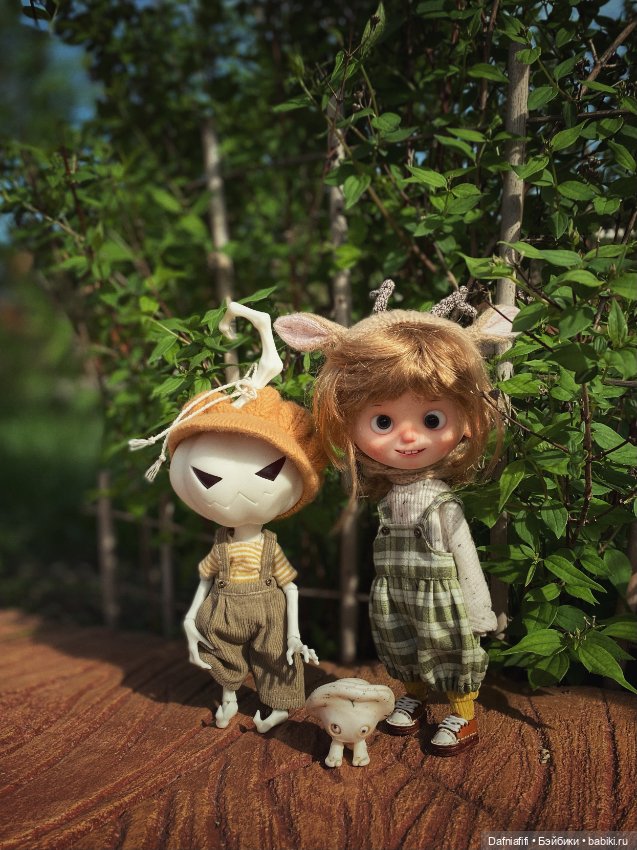 Гарри — Куклы Dream Valley (Дрим Валлей): BJD (БЖД)