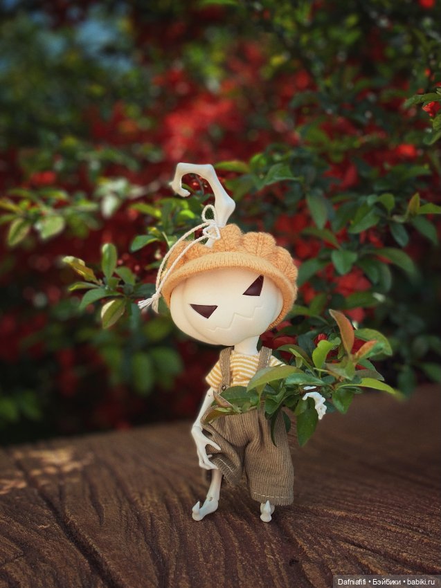 Гарри — Куклы Dream Valley (Дрим Валлей): BJD (БЖД) (фото 7)