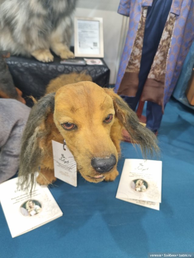 Выставка кукол и мишек. Крупный план (фото 2)