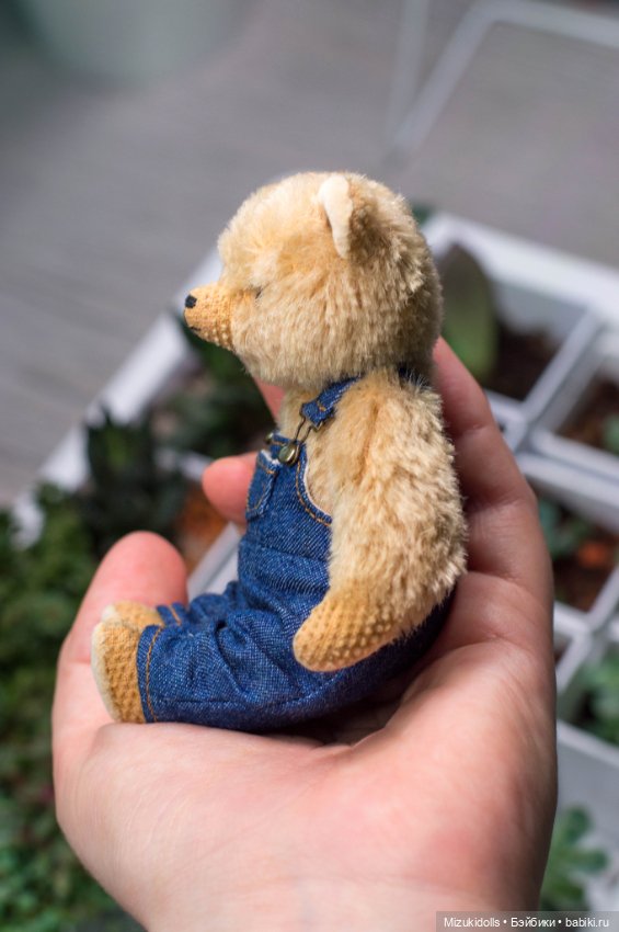 Мишки и домашний минисад — Авторские мишки Тедди и друзья: фото