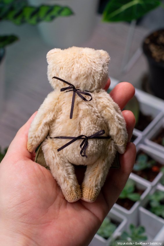 Мишки и домашний минисад — Авторские мишки Тедди и друзья: фото (фото 7)