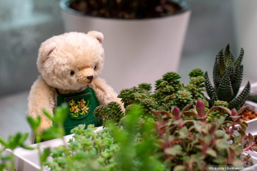 Мишки и домашний минисад — Авторские мишки Тедди и друзья: фото