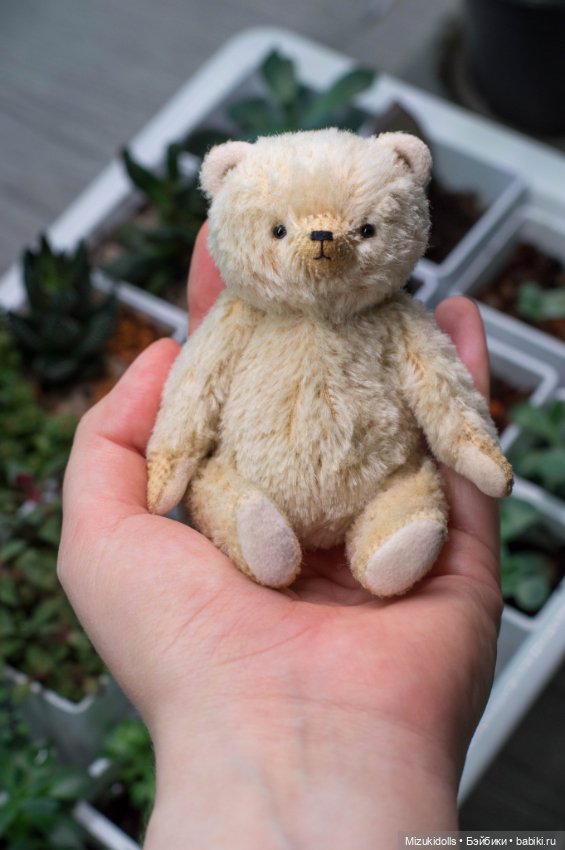 Мишки и домашний минисад — Авторские мишки Тедди и друзья: фото (фото 6)