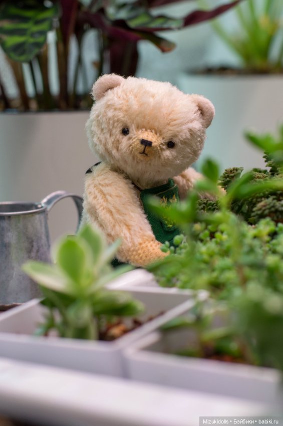 Мишки и домашний минисад — Авторские мишки Тедди и друзья: фото (фото 2)