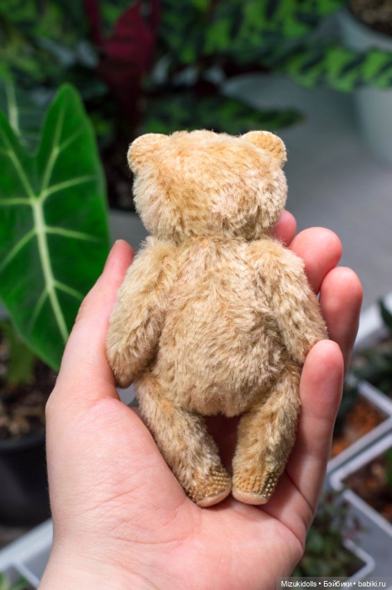 Мишки и домашний минисад — Авторские мишки Тедди и друзья: фото