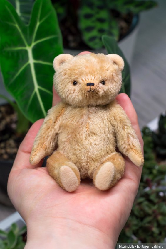 Мишки и домашний минисад — Авторские мишки Тедди и друзья: фото