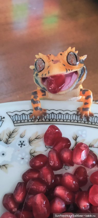 Гошка — Коллекционные экшн (фото 5)