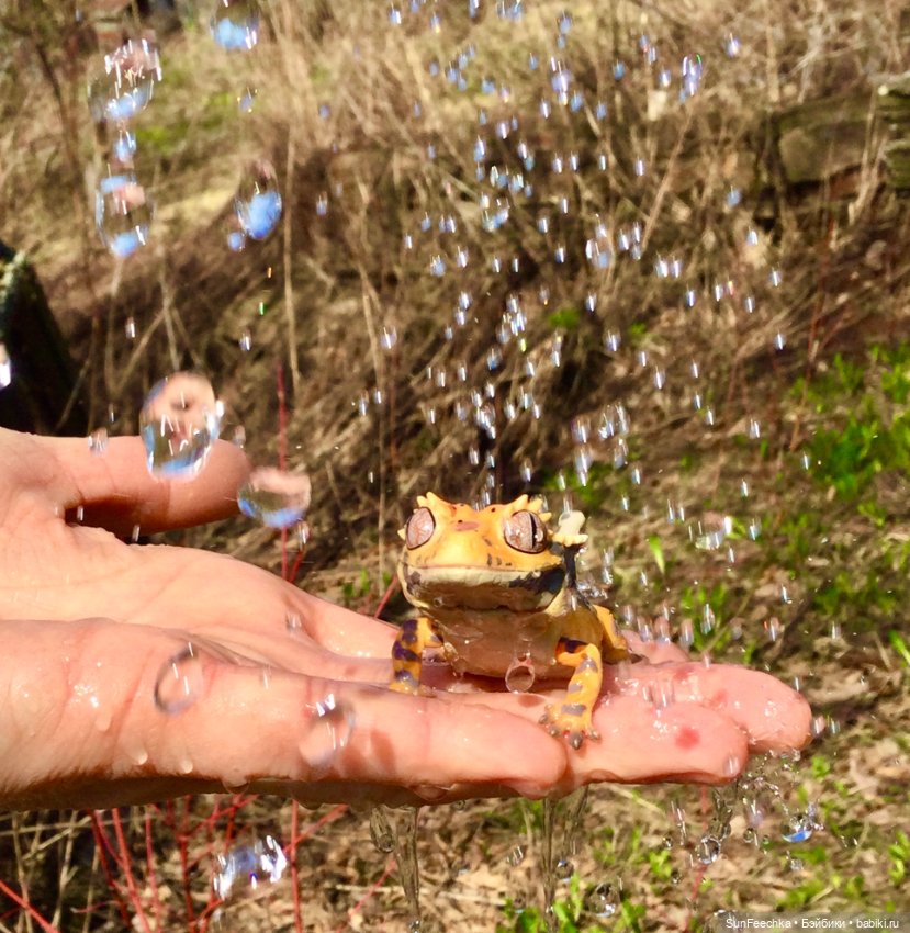 Гошка — Коллекционные экшн (фото 4)