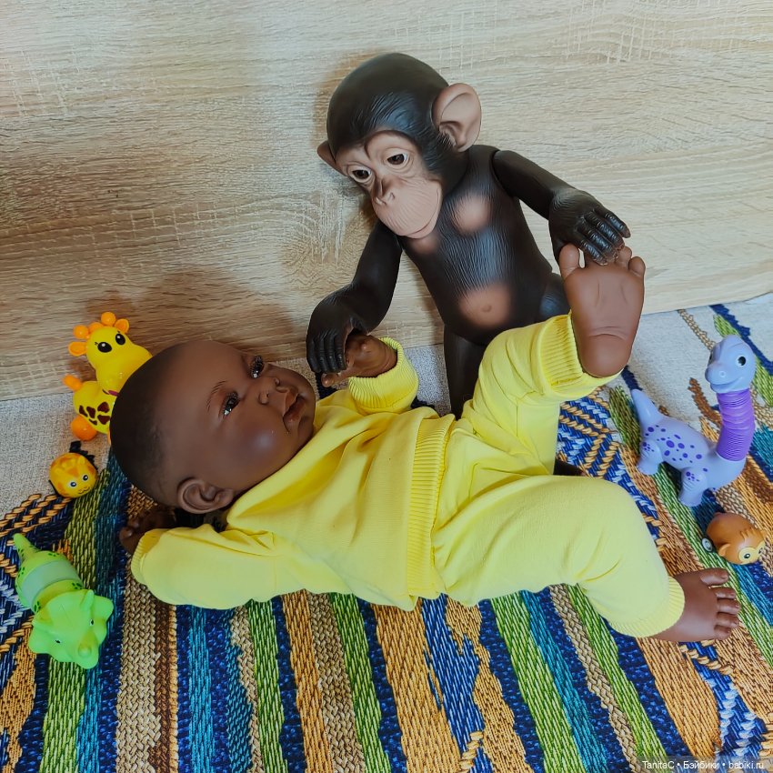 Мои шоколадные малыши Том и Лола (фото 5)