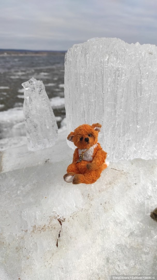 Тедди и путешествия — Туризм и путешествия: фотоотчеты из поездок