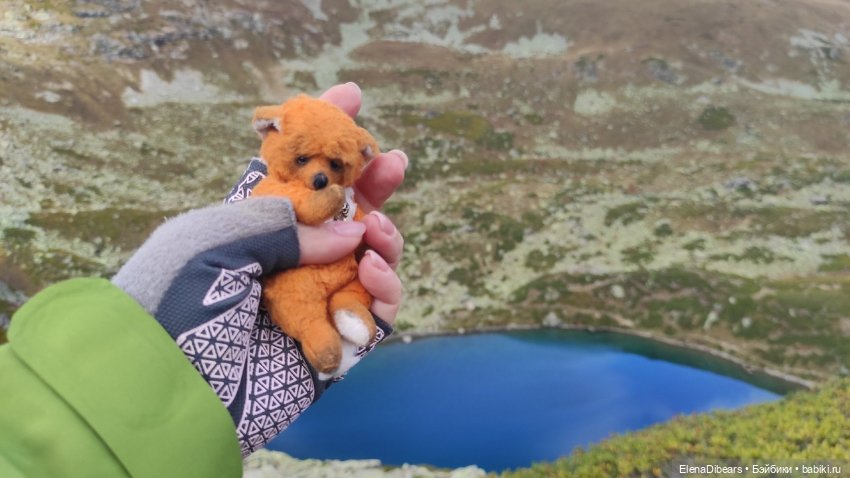 Тедди и путешествия — Туризм и путешествия: фотоотчеты из поездок (фото 6)