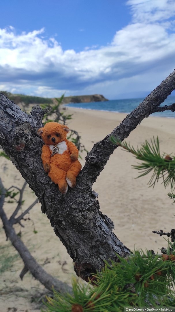 Тедди и путешествия — Туризм и путешествия: фотоотчеты из поездок (фото 3)