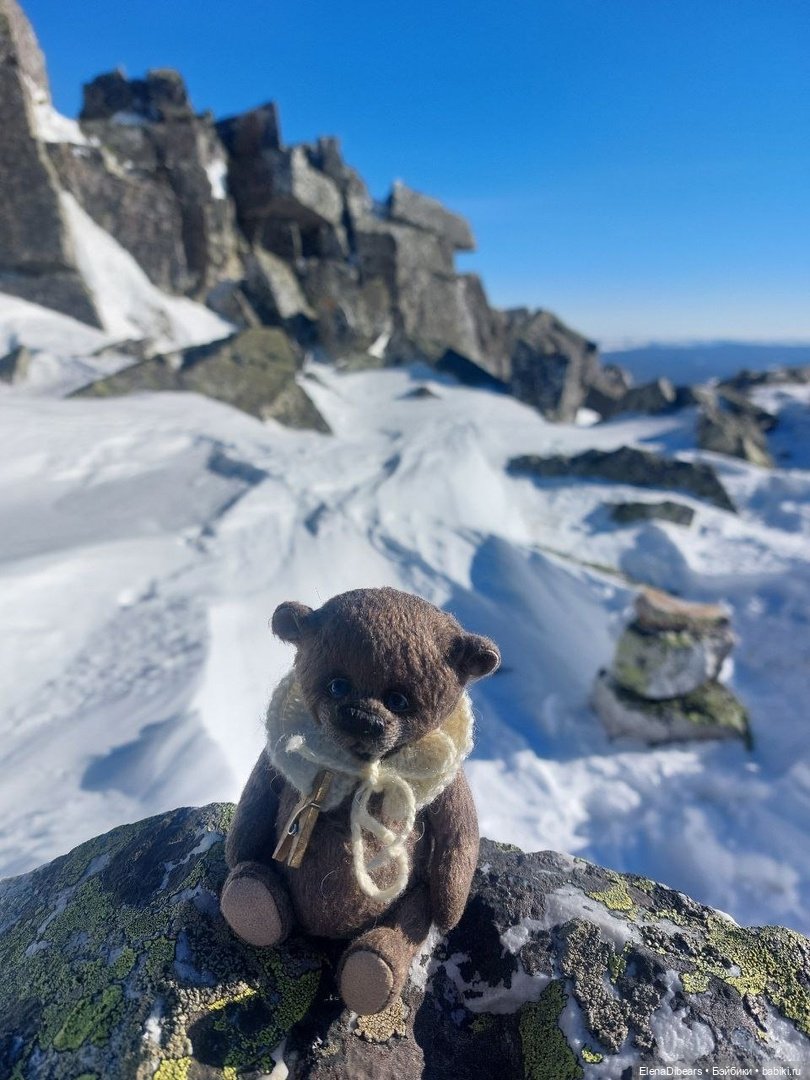 Тедди и путешествия — Туризм и путешествия: фотоотчеты из поездок