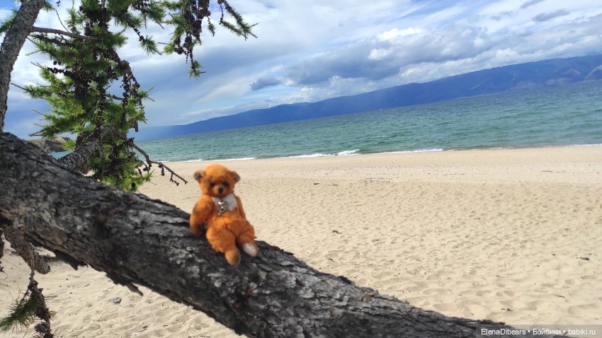 Тедди и путешествия — Туризм и путешествия: фотоотчеты из поездок