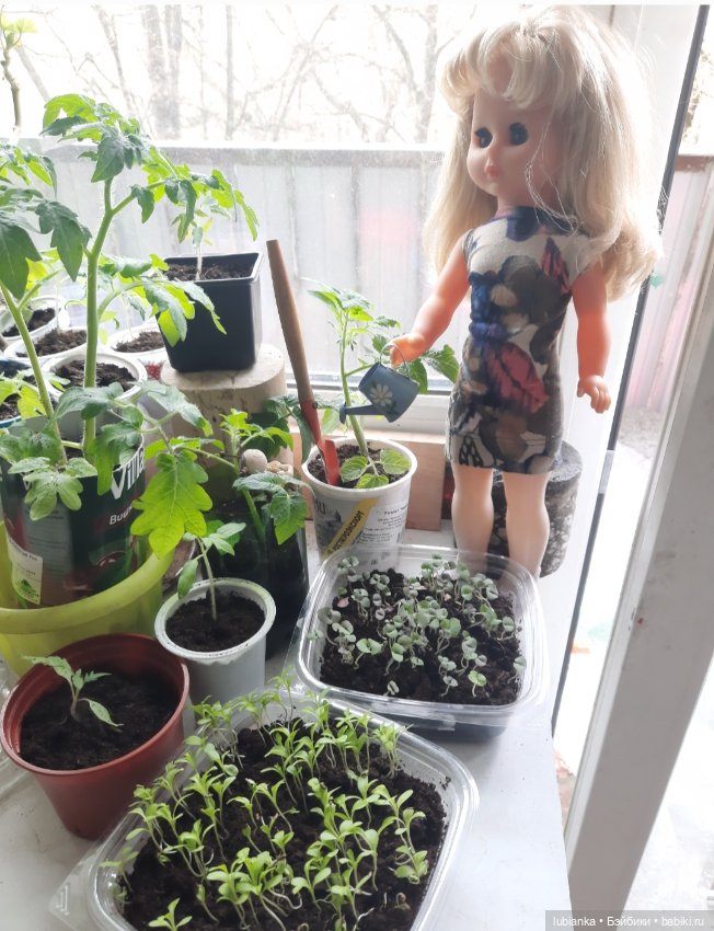 Опять... снова... ещё и ещё раз