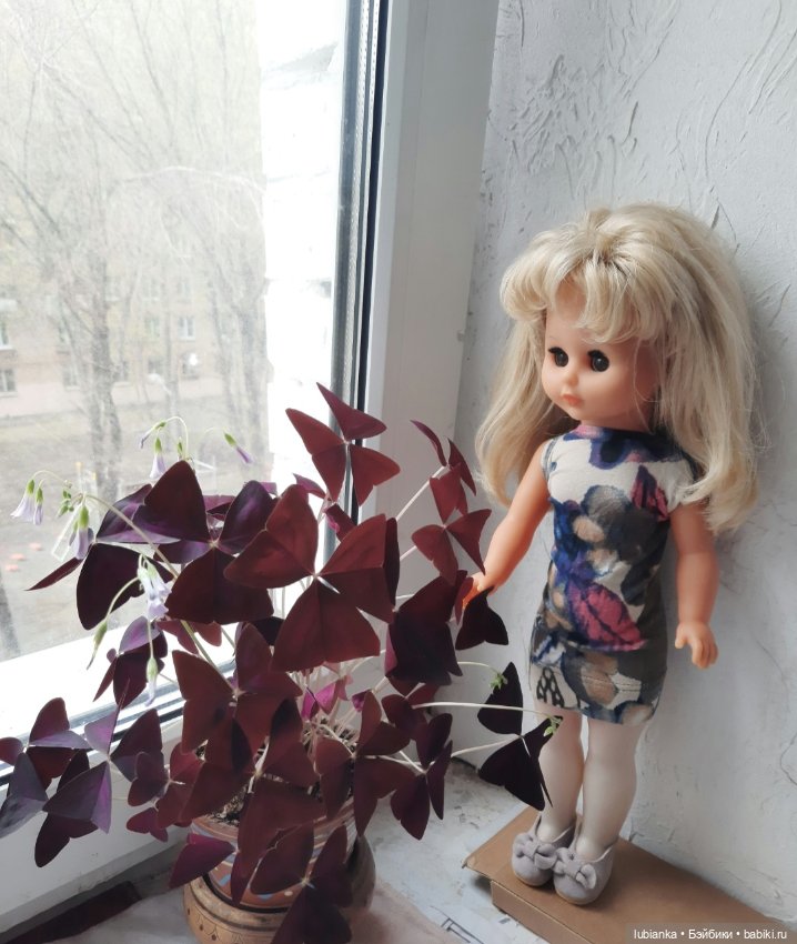 Опять... снова... ещё и ещё раз