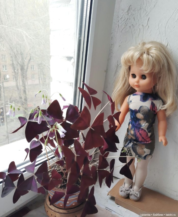 Опять... снова... ещё и ещё раз