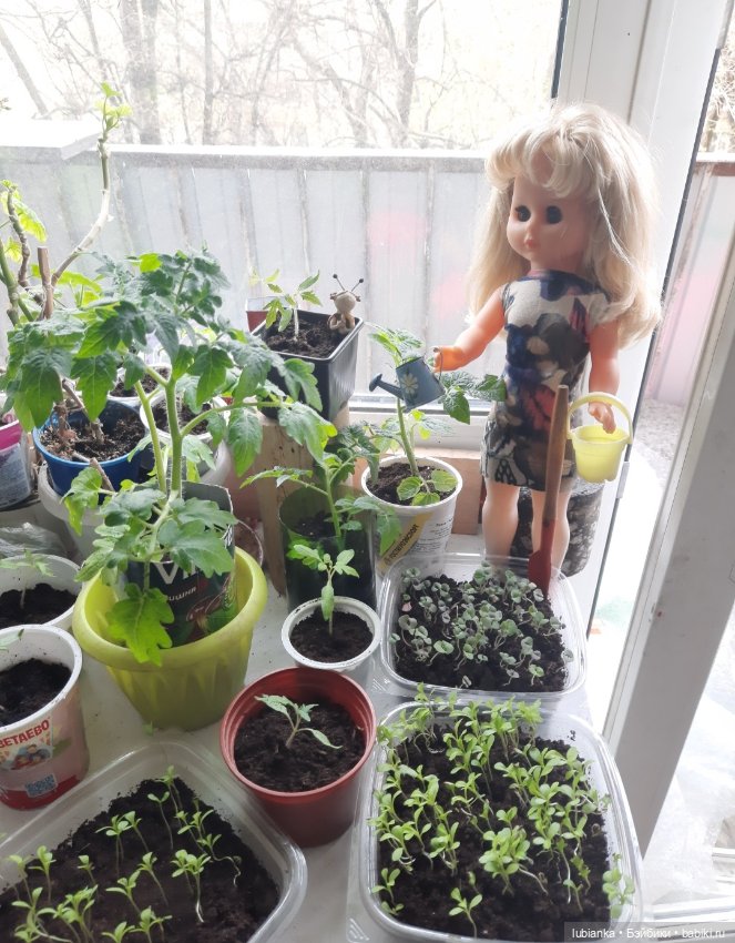 Опять... снова... ещё и ещё раз