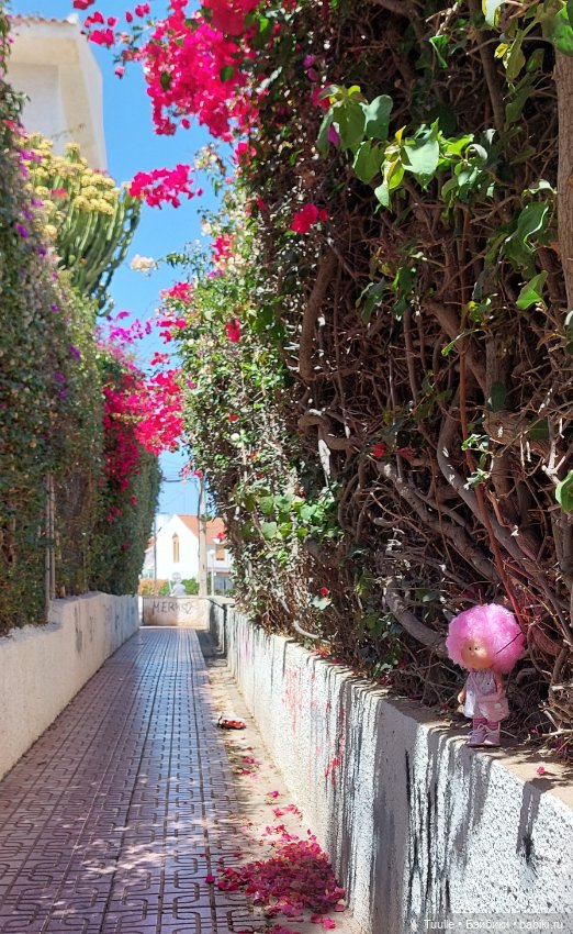 Розовое облачко миничка Миечка (фото 3)