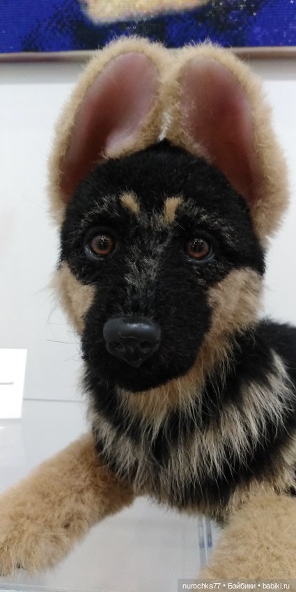 Путешествие на Тишинку. Часть 1