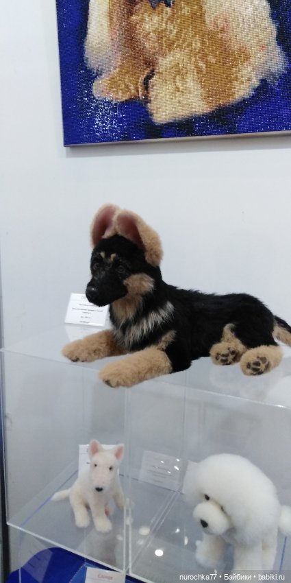 Путешествие на Тишинку. Часть 1