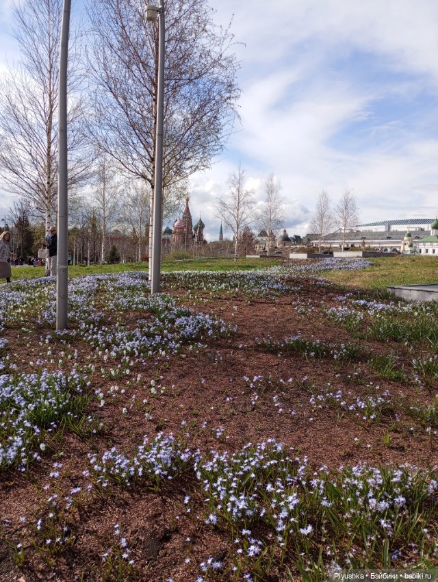 Эльфа и цветы — Азиатские виниловые куклы (разное): Китай