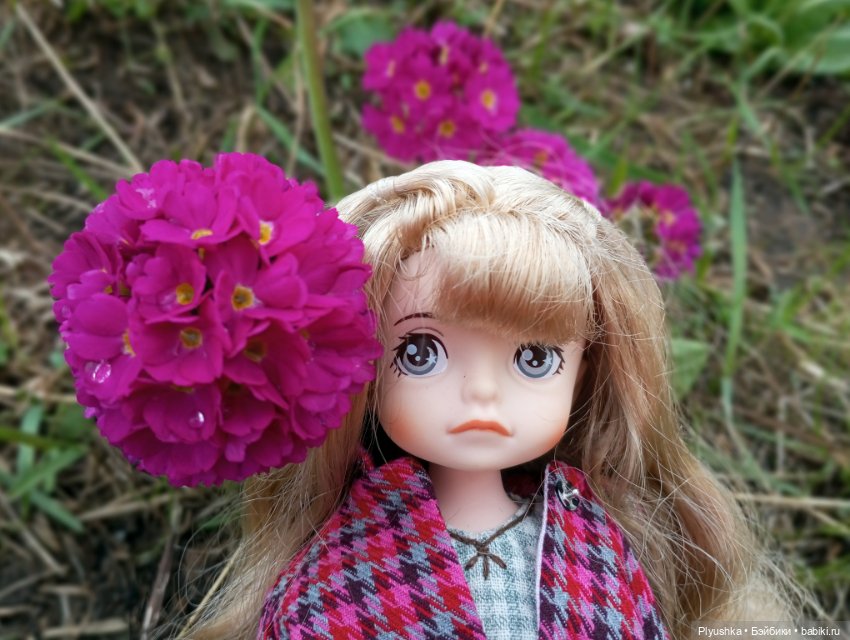 Эльфа и цветы — Азиатские виниловые куклы (разное): Китай