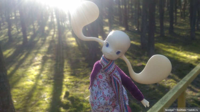 Куршская коса 2019 — Туризм и путешествия: фотоотчеты из поездок