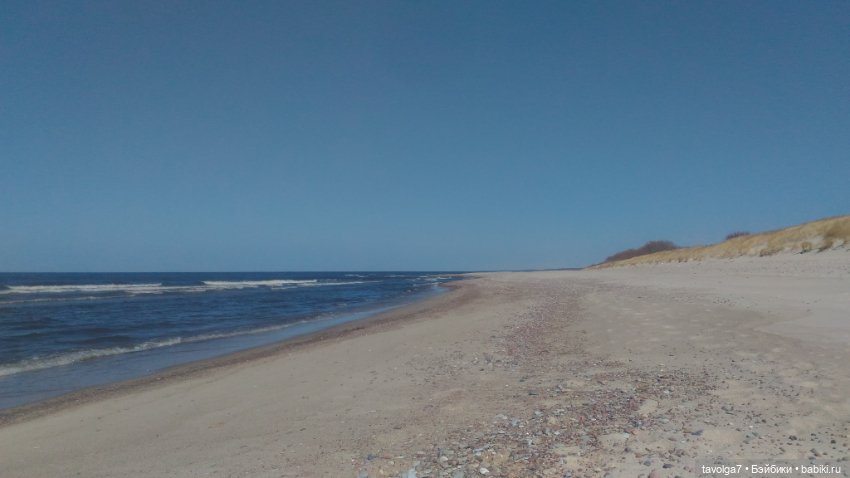 Куршская коса 2019 — Туризм и путешествия: фотоотчеты из поездок (фото 5)