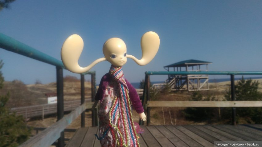 Куршская коса 2019 — Туризм и путешествия: фотоотчеты из поездок