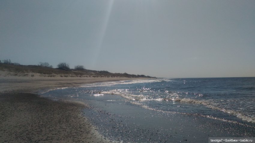 Куршская коса 2019 — Туризм и путешествия: фотоотчеты из поездок (фото 8)