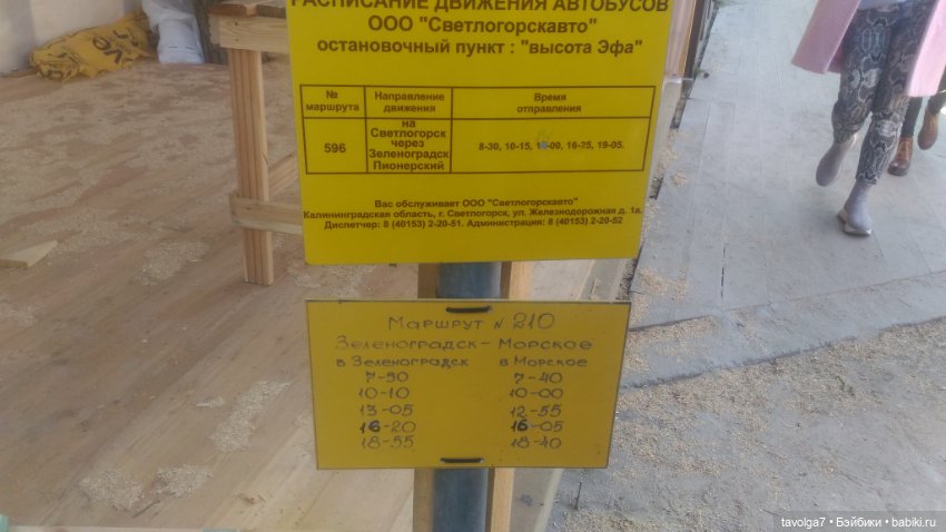 Куршская коса 2019 — Туризм и путешествия: фотоотчеты из поездок (фото 3)