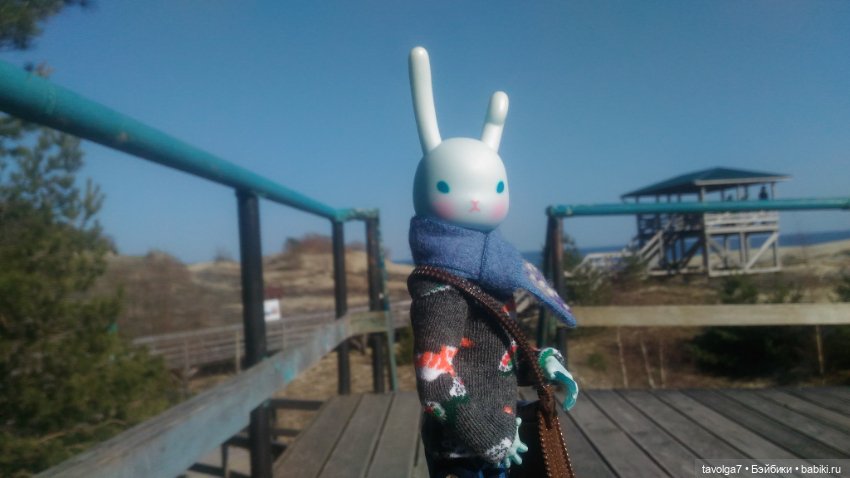 Куршская коса 2019 — Туризм и путешествия: фотоотчеты из поездок