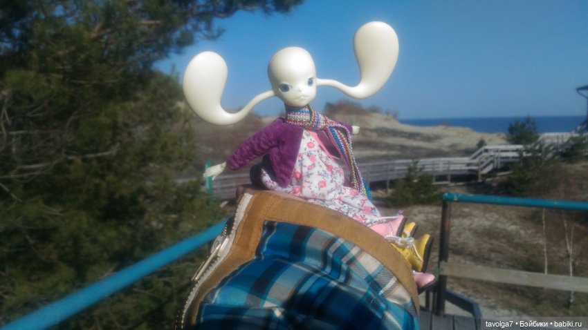 Куршская коса 2019 — Туризм и путешествия: фотоотчеты из поездок