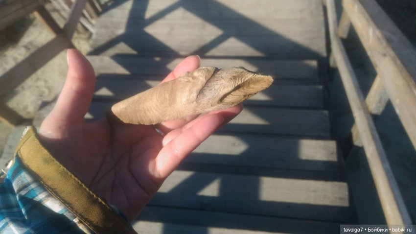 Куршская коса 2019 — Туризм и путешествия: фотоотчеты из поездок