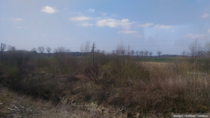 Куршская коса 2019 — Туризм и путешествия: фотоотчеты из поездок