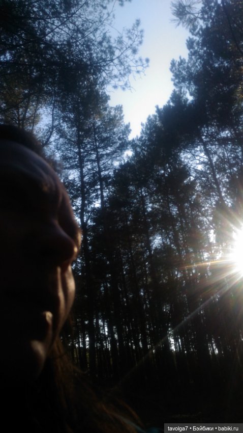 Куршская коса 2019 — Туризм и путешествия: фотоотчеты из поездок