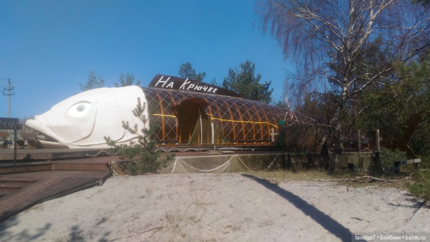 Куршская коса 2019 — Туризм и путешествия: фотоотчеты из поездок (фото 4)